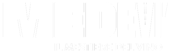 logo_medevi_b