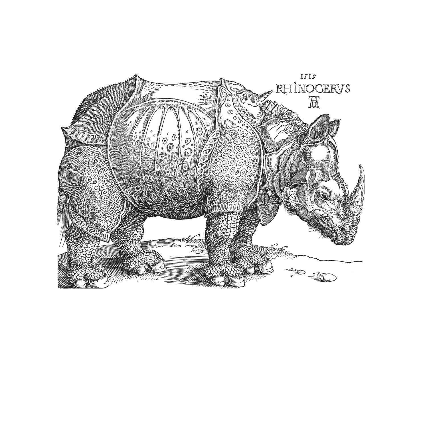 spinetta