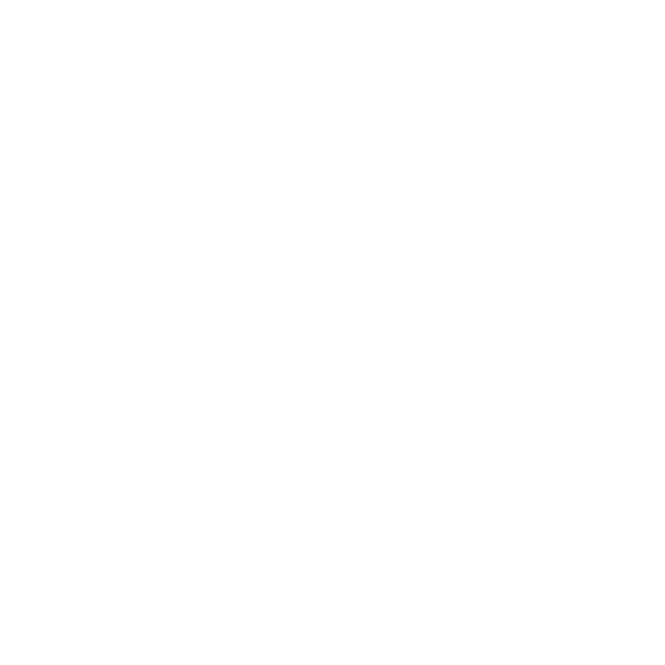 vignamaggio